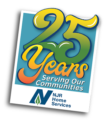 25 years celebration